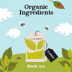 Clipper Tea, Organic Fairtrade Everyday, Organic, USDA Non-GMO, Fair Trade, Sustainable Caffeinated Tea, 1 Pack, 80 Unbleached Tea Bags
