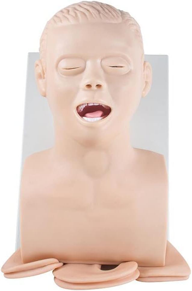 CHROX PVC Human Electronic Tracheal Intubation Training Model, Intubation Manikin Teach Model Oral Nasal Demo Airway Management Teaching Simulator