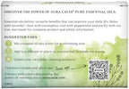 Aura Cacia Discover Essential Oils Kit, 4-Pack, Lavender, Eucalyptus, Peppermint & Tea Tree Oils, Excellent Starter Set