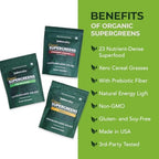 Paleovalley Organic Supergreens Powder - 23 Superfoods with Prebiotic Fiber for Energy and Immunity Support - No Cereal Grasses for Maximum Absorption - Pure Unflavored, 30 Servings