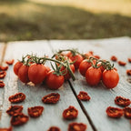 Principe Borghese Tomato - 50 Seeds - Italian Heirloom Sun-Drying Tomato, Open-Pollinated Variety, USA-Grown, Non-GMO Vegetable Seeds for Planting Outdoors in The Home Garden, Thresh Seed Company