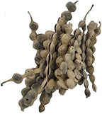 The Choice Vinayak Herbal Babul Phali Acacia Nilotica Ayurvedic Product with Multiple Benefits - 500 Gm