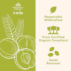 ORGANIC INDIA Amalaki Herbal Vitamin Supplement - Immune Support, Vitamin C, Vegan, Gluten-Free, Kosher, Ayurvedic, Antioxidant, USDA Certified Organic, Non-GMO - 90 Capsules
