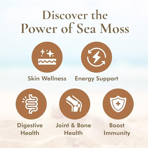 HalalEveryDay Wildcrafted Irish Sea Moss - 1lb Bag- 100% Pure All Natural | Vitamin & Mineral Rich | No Preservatives | Golden | 16 oz