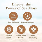 HalalEveryDay Wildcrafted Irish Sea Moss - 1lb Bag- 100% Pure All Natural | Vitamin & Mineral Rich | No Preservatives | Golden | 16 oz