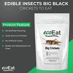 Edible Insects Big Black Crickets to Eat – Edible Bugs Edible Dehydrated Crickets - Snack Food Gifts (15g)