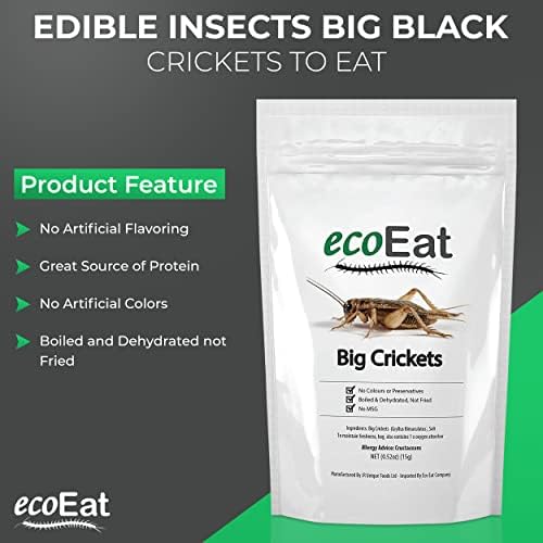 Edible Insects Big Black Crickets to Eat – Edible Bugs Edible Dehydrated Crickets - Snack Food Gifts (15g)