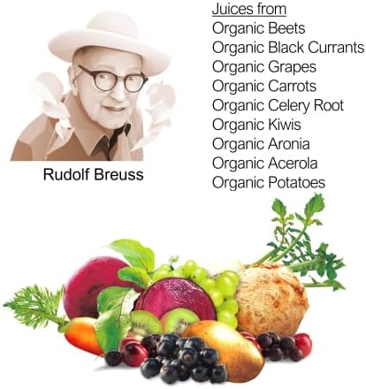 Biotta Organic Breuss Balance Juice - 100% Vegetable Juice for Energy, Immunity & Wellness - Excellent Source of Nutrients - All Natural, Non-GMO, Gluten-Free (16.9 Fl Oz, Pack of 6)