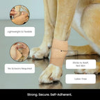 Juvale Cohesive Self-Adhering Elastic Bandage Wrap - Sprain Support & Medical Tape - Vet Wrap for Horses & Horse Leg Support - Sport Tape & Tattoo Bandage - 4 in x 5 yd, Tan, Pack of 6