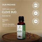 Clove Bud Oil (Syzygium Aromaticum) Essential Oil 100% Pure Natural Undiluted Uncut Therapeutic Grade Oil 0.51 Fl.OZ