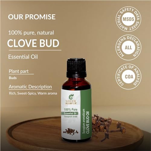 Clove Bud Oil (Syzygium Aromaticum) Essential Oil 100% Pure Natural Undiluted Uncut Therapeutic Grade Oil 0.51 Fl.OZ