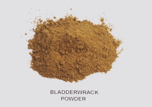 JustIngredients Bladderwrack Powder 1 kg