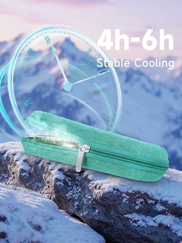 YOUSHARES Portable Insulin Cooler Travel Case - TSA Approved Diabetic Medication Cooling Bag, EVA Insulated Organizer for Epi Pens, Refrigerated Diabetes Supplies Carrying Storage Kit with 2 Ice Pack