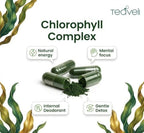 Spirulina and Chlorella Capsules – Chlorophyll Pills & Blue Green Algae to Support Powerful Detox, Energy & A Healthy Immune System– 3X More Chlorella Spirulina Powder/Serving – 90 Ct