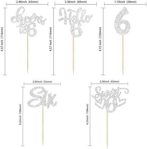 30Pcs 6th Birthday Cupcake Toppers Glitter Six Hello 6 Cupcake Picks Cheers to 6 Years Old Cake Decorations for 6th Birthday Party Supplies Silver