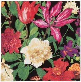 Caspari Dutch Floral Black Cocktail Napkins - includes 20 Cocktail Napkins