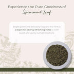 Starwest Botanicals Spearmint Leaves - Loose Leaf Herb for Tea, Dried Spearmint Leaf for Herbal Blends, Cut & Sifted, Certified Kosher - Bulk 1 lb Bag