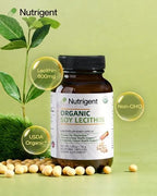 USDA Organic Soy Lecithin Supplement 800 mg, High Absorption Liquid Organic Capsules, Choline Lecithin Supplement for Brain & Liver Health Support, Non-GMO, Gluten Free, 60 Count