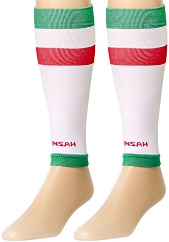 Zensah Around the World Leg Sleeves - Shin Splint, Calf Support for Men and Women