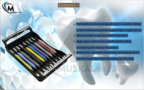 Silicone Handle Dental Composite Filling Restorative Instruments Kit 10pcs Tools Set with Cassette DN-2245