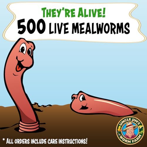 Uncle Jim's Worm Farm 500 Count Mealworms for Reptiles and Chickens | Mealworms for Feeding Lizard, Gecko, Bearded Dragons, Chickens, Birds, and More | Suitable for Fishing Bait