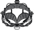 PETZL AVAO BOD Fall Arrest and Work Positioning Harness (International Version)
