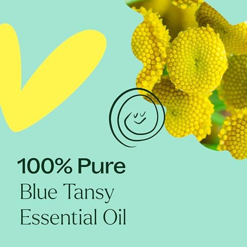 Plant Therapy Blue Tansy Essential Oil, 2.5 mL (1/12 oz), 100% Pure and Undiluted, Natural Aromatherapy for Diffuser or DIY Skincare