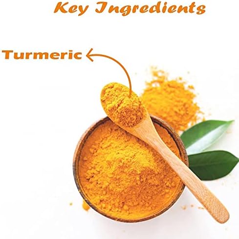 Admart Namo Organics - Lakadong Turmeric Powder from Organic Farms in Meghalaya - 500 Gm - High Curcumin (8-10%) - Words Best Haldi (Curcuma Longa) (500 Gm)