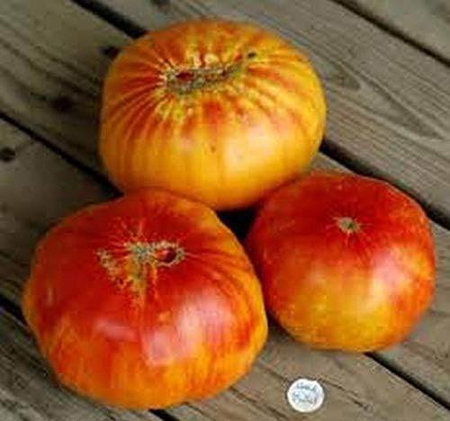 Old German Tomato - - A Huge Old Favorite Great Tasting (50 - Seeds)