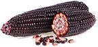 Rare Purple Popcorn Seeds for Planting - 50 Seeds to Grow This Exotic Edible Corn