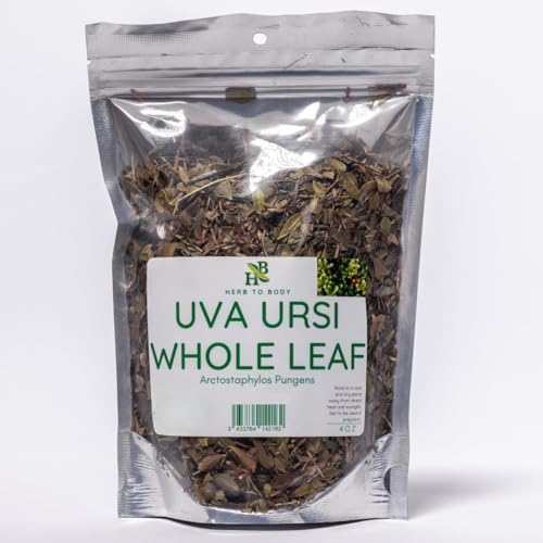 Herb To Body Uva Ursi Herb Leaves Whole - 4oz, Wildcrafted Arctostaphylos Pungens, Herbal Tea Loose Leaf for Uva Ursi Tea, Tinctures, Extracts, and Traditional Preparations