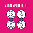 Health-Ade Kombucha Tea Organic Drink, Fermented Tea with Living Probiotics, Detoxifying Acids, Supports Gut Health, Non-GMO, Vegan, Gluten Free, 12 Pack (16 Fl Oz Bottles), Merry and Bright Variety Pack