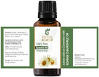 Roman Chamomile Oil (Anthemis Nobilis Syn Chamaemelum Nobile) Essential Oil 100% Pure Natural Undiluted Uncut Therapeutic Grade Oil 0.51 Fl.OZ