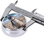 ZhongGuo Cute Penguin Printed Pill Organizer,Round Travel Pill Organizer Mini Medicine Pill Box for Purse Iron Plating