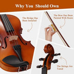 PHOENIX Violin 4/4 Full Size Kit, Violin Fiddle Set for Beginner Adults with Rosewood Bow Extra Strings & Bridge (Entry-level, Full)