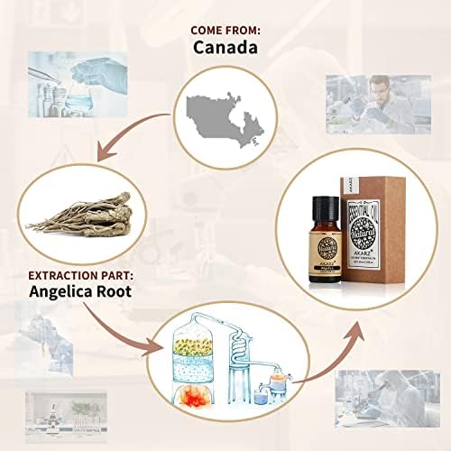 AKARZ Angelica Essential Oil Natural Organic Pure Angelica Oil for Skin Body Hair Care, Candle,Soap,Making, DIY,Massage Aroma 0.34 Fl Oz (10ml)