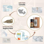 AKARZ Angelica Essential Oil Natural Organic Pure Angelica Oil for Skin Body Hair Care, Candle,Soap,Making, DIY,Massage Aroma 0.34 Fl Oz (10ml)