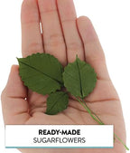 Global Sugar Art Rose Leaf Sugar Cake Flowers & Leaves Dark Green, 3 Sizes, 60 Count by Chef Alan Tetreault