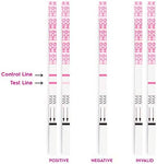 AccuMed Pregnancy (HCG) Test Strips Kit, Clear and Accurate Results, 99% Accurate, 50 Count