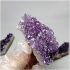 Health & Household Natural Amethyst Crystal Quartz Drusy Geode Cluster Healing Stones Decoration Ornament Purple Feng Shui Stone (Size : 45-60g)