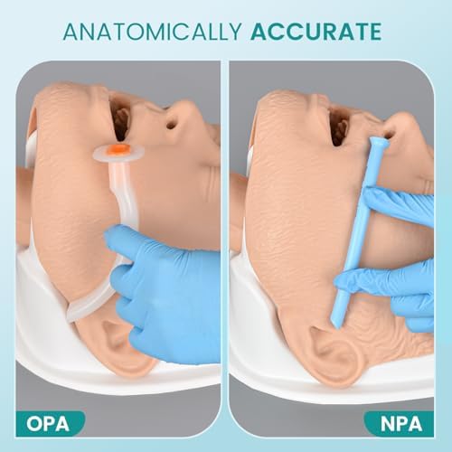 Adult Airway Management Trainer Kit, Adult Intubation Manikin Head, Airway Simulation Management Model for EMS Training, with Base