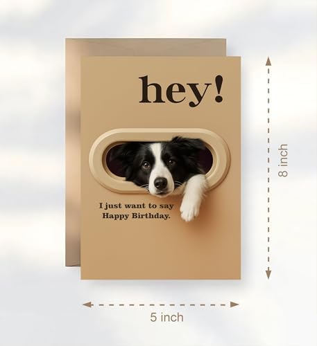 Funny Border Collie Birthday Card - Hey! I Just Want To Say Happy Birthday - Cute Dog Greeting Card For Dog Lovers- Men- Women And Kids - Humorous And Adorable Gifts Card Ideal