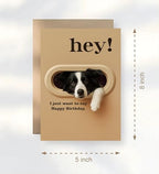 Funny Border Collie Birthday Card - Hey! I Just Want To Say Happy Birthday - Cute Dog Greeting Card For Dog Lovers- Men- Women And Kids - Humorous And Adorable Gifts Card Ideal