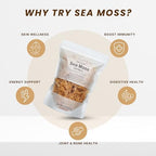 Raw Wildcrafted Gold Sea Moss 1 lb, St. Lucia Sun-Dried Seamoss, Natural Ocean Harvested Whole Moss | Makes 240+oz gel