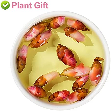 Plant Gift Organic Wild Peach Blossom tea,TaoHua Tea, 70g/2.46oz