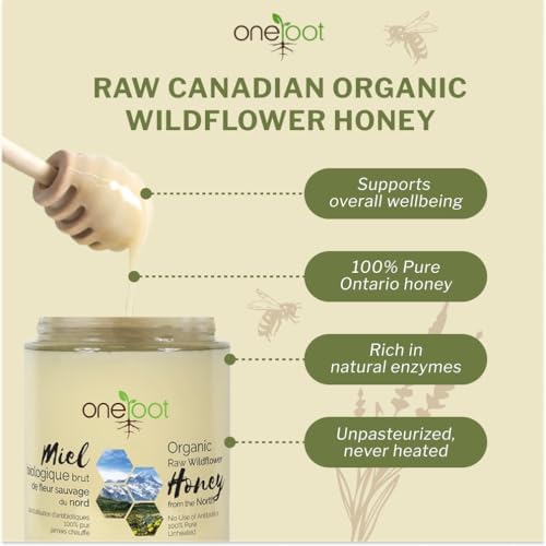 Oneroot 100% Organic Canadian Wildflower Honey - 17.6 Oz/1.1 Lbs, Unheated & Creamed - Nutrient-Rich, Natural Sweetener with Enzymes - Thick & Pure Raw Unfiltered Honey