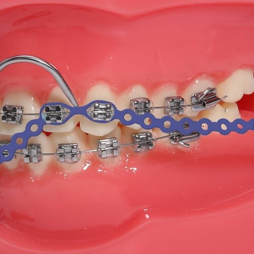 Colourful Elastic Power Chain for Braces Dental Orthodontic Powerchains 3 Sizes Ortho Rubber Band(Short,Purple 16#)