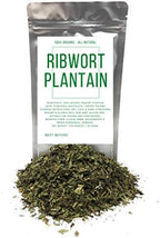 Dried Ribwort Plantain Herb - Ingredients: 100% Natural Ribwort Plantain (Plantago Lanceolata) - Net Weight: 1.05oz / 30g