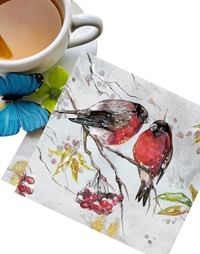 20-ct Robin 13x13 Christmas Napkins for Decoupage, Winter Bird, Fall & Thanksgiving Decorative Paper Napkins