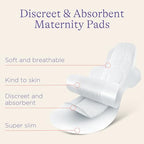 Lansinoh Postpartum Maxi Pads Bundle, 40 Count, Heavy Absorbency Overnight Pads with Wings, Includes 2 Sizes for Extra Protection, Postpartum Essentials